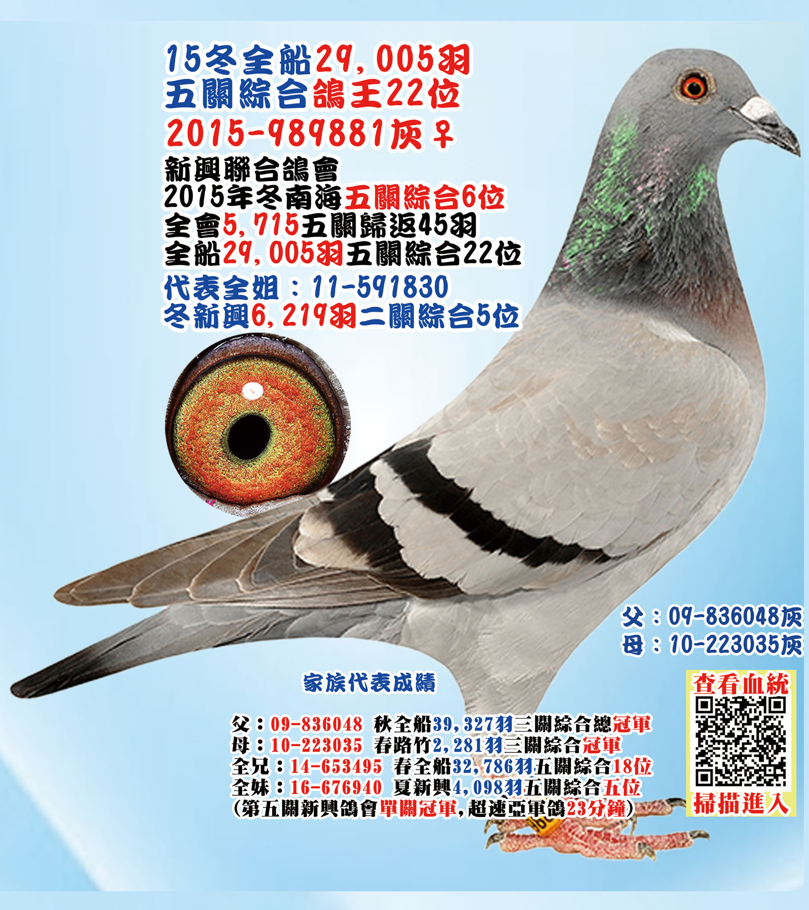 2015-989881.jpg