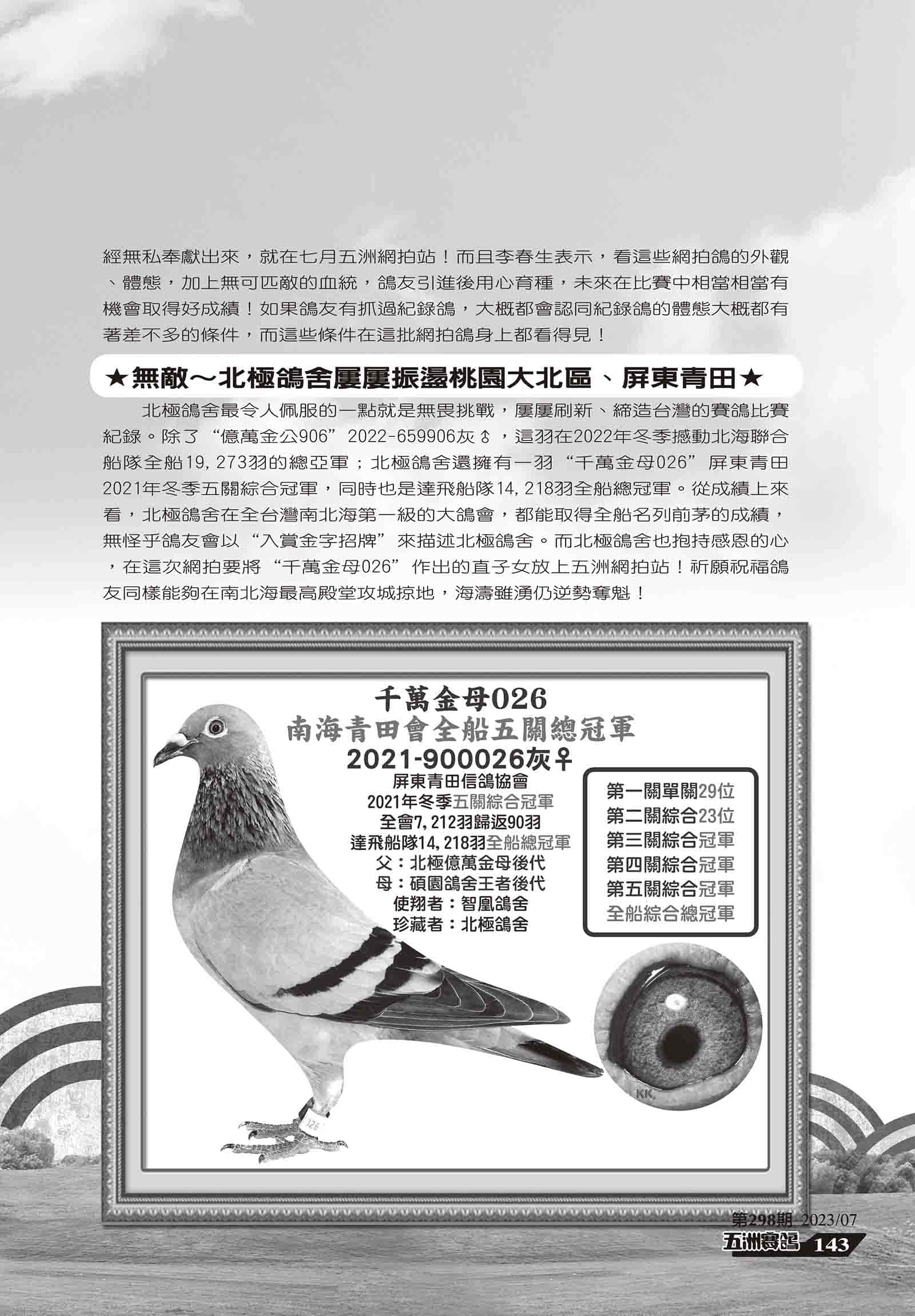 298鴻鴿星-4.jpg