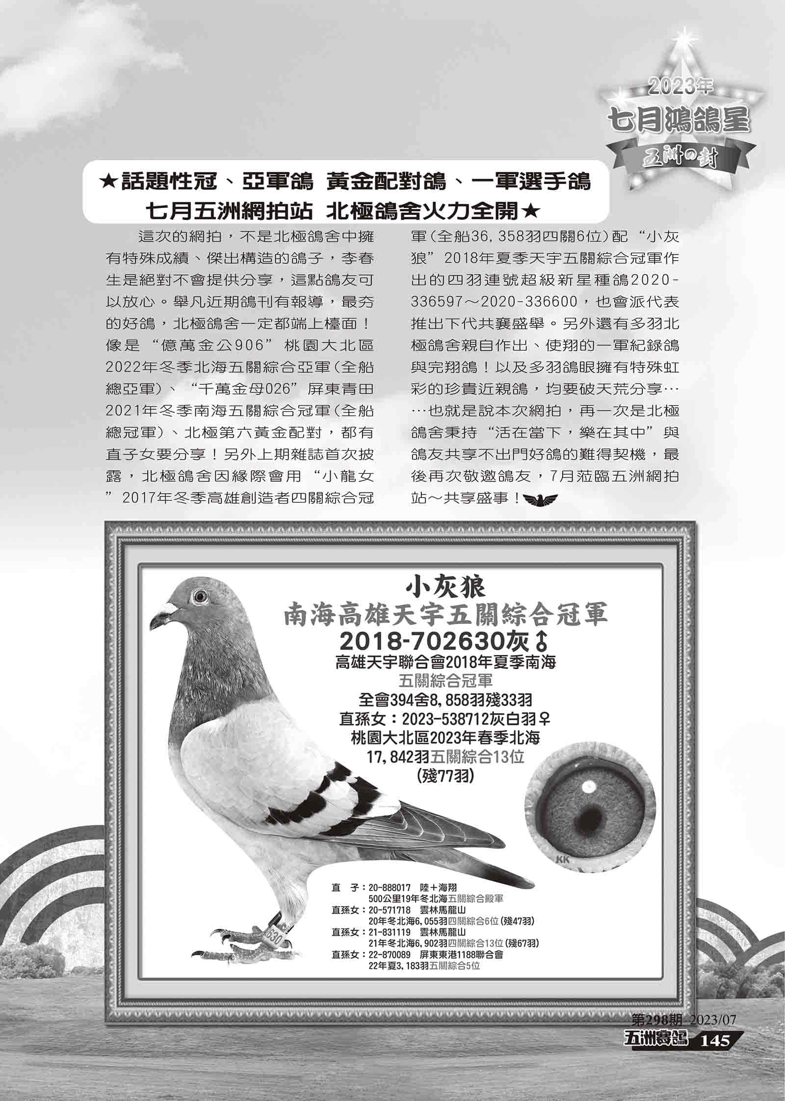 298鴻鴿星-6.jpg