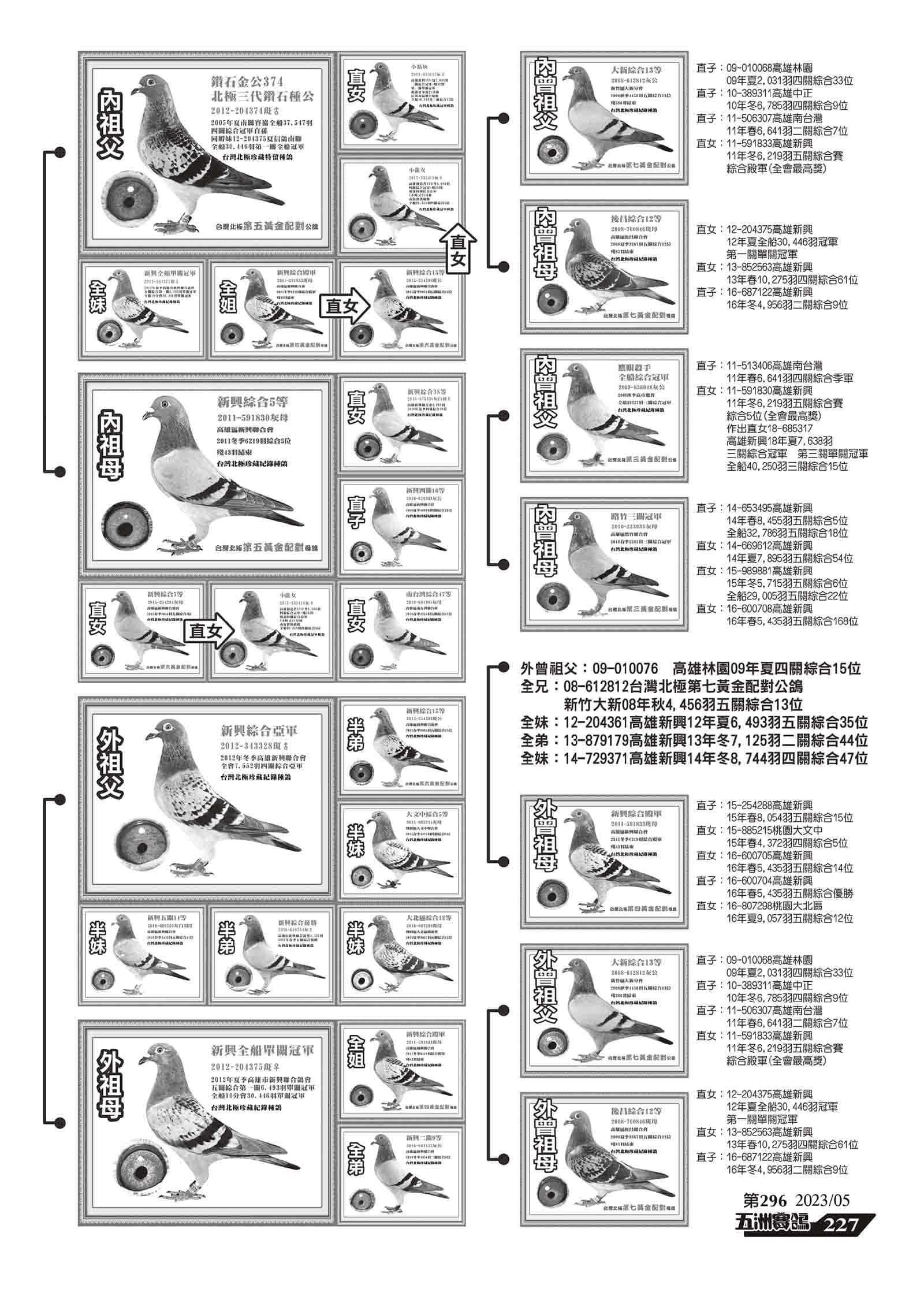 296-10.jpg