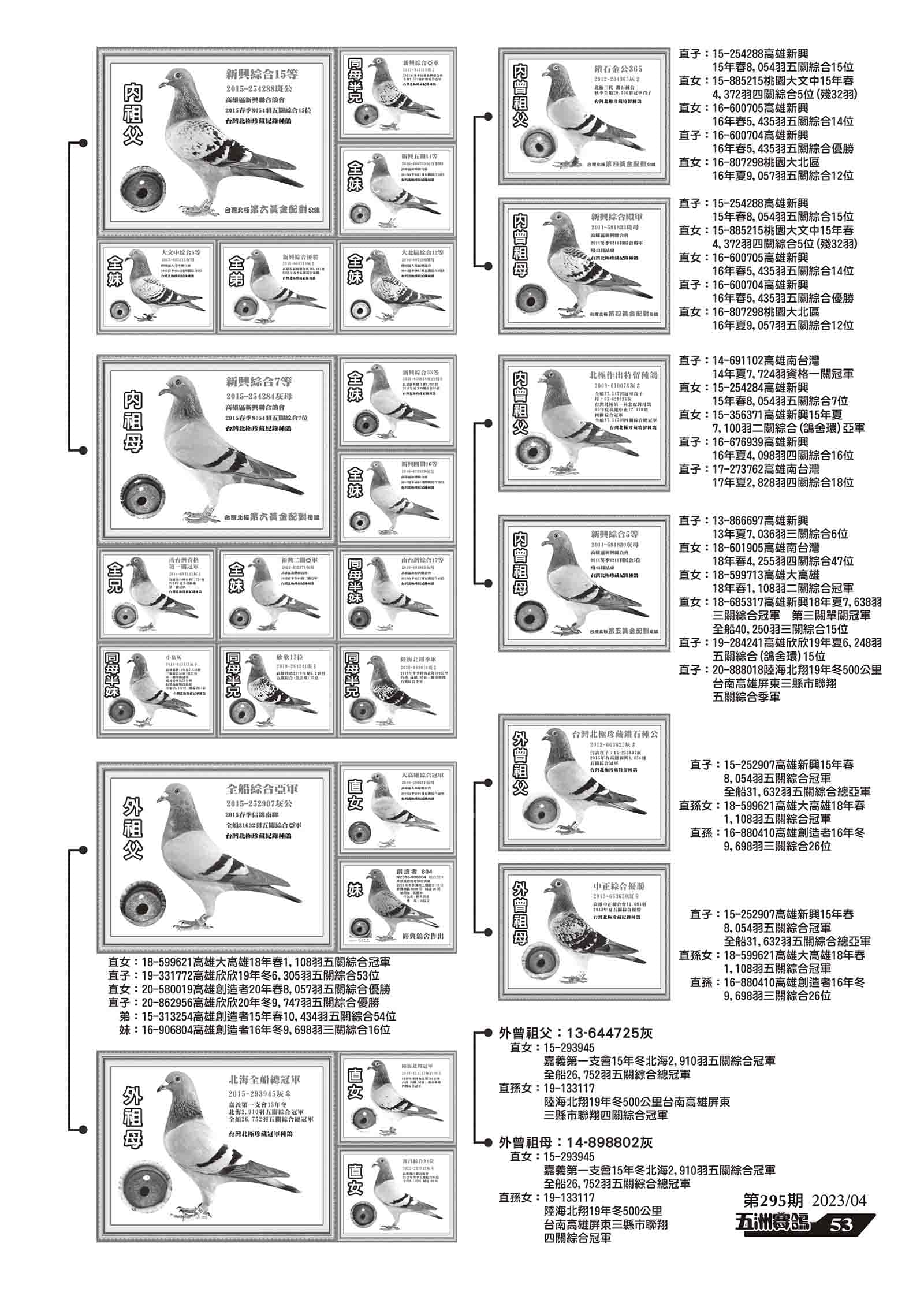295-10.jpg