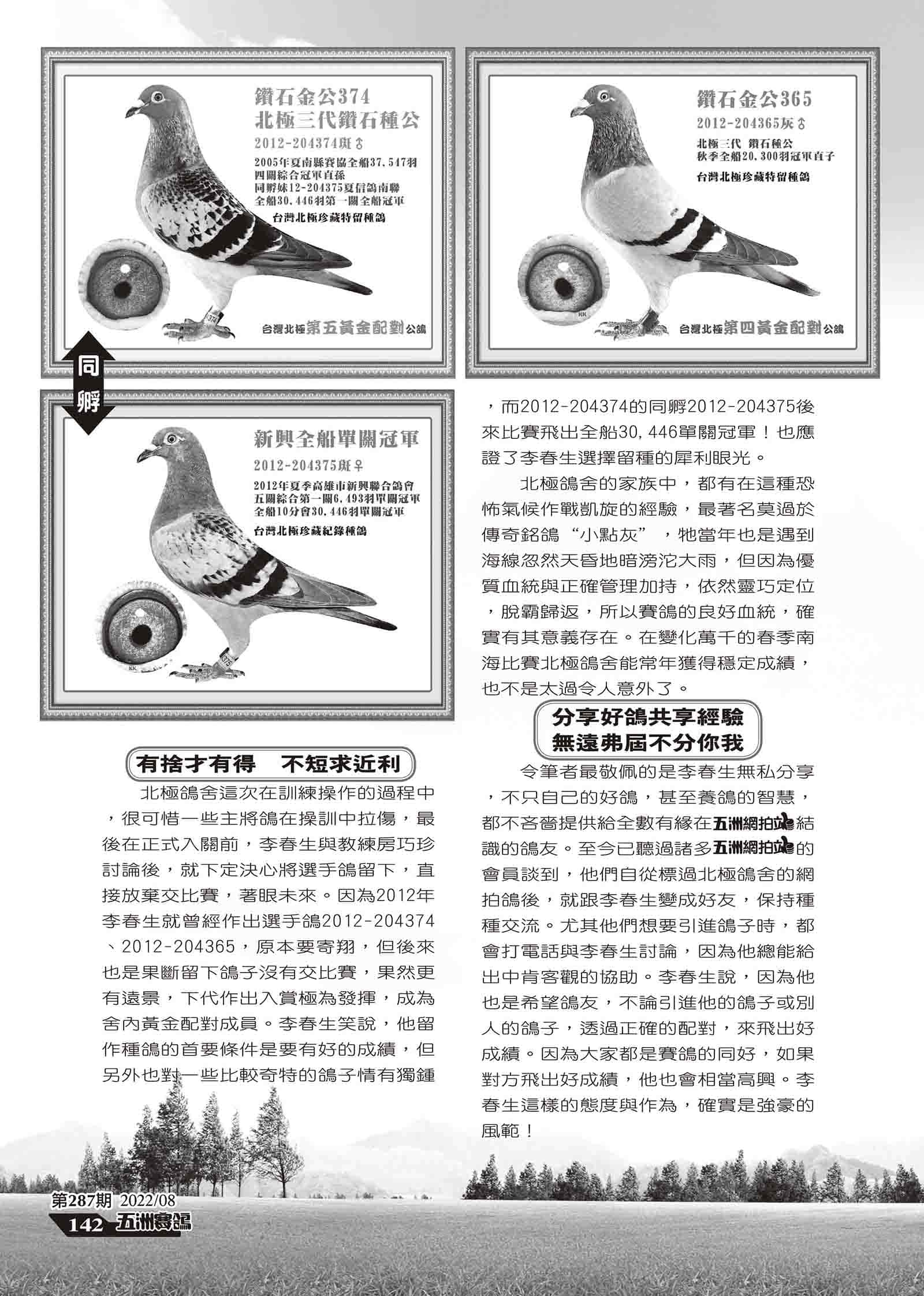 287鴻鴿星-3.jpg