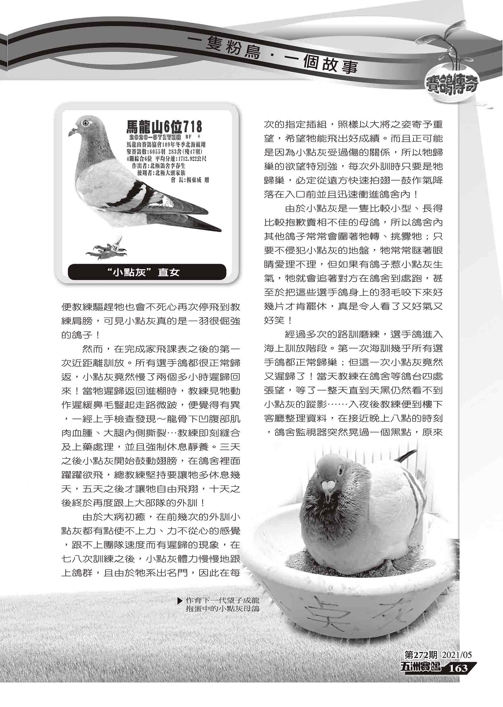 小點灰組稿-4.jpg