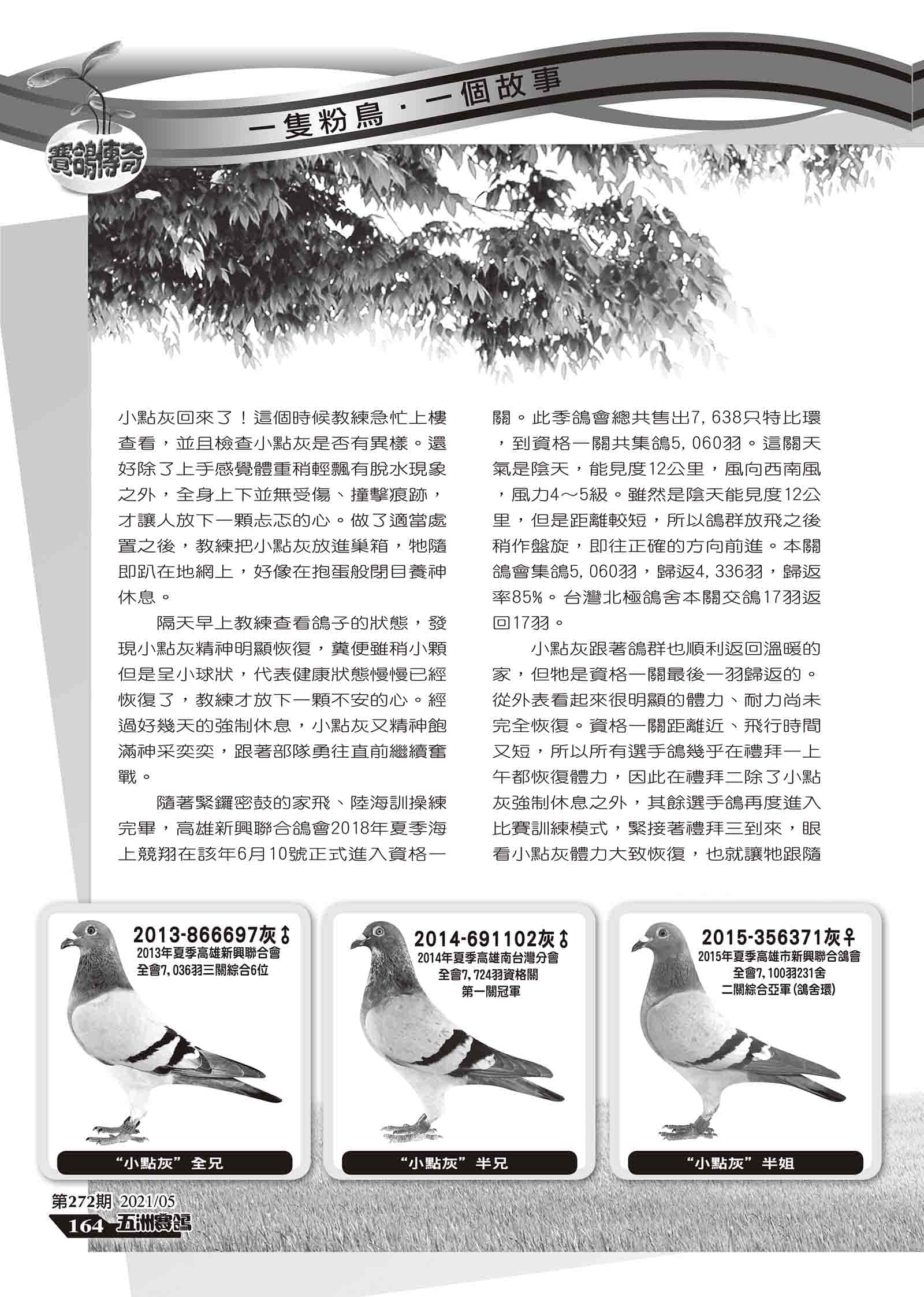 小點灰組稿-5.jpg