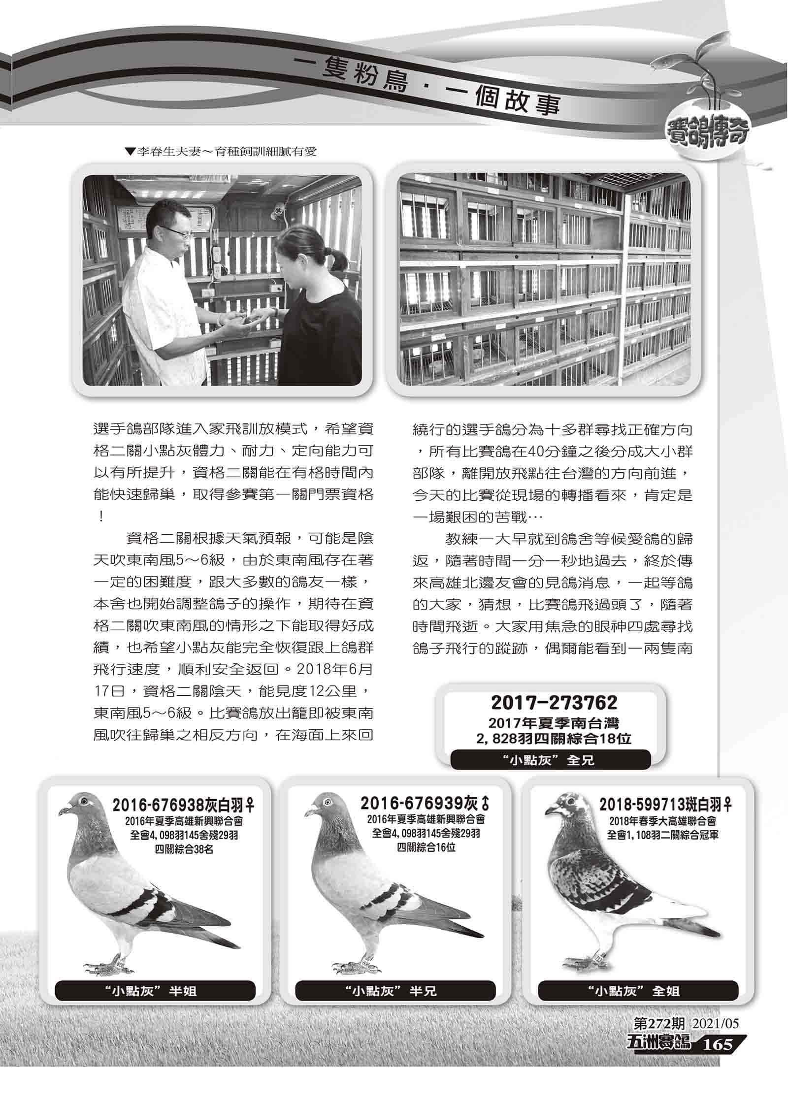小點灰組稿-6.jpg