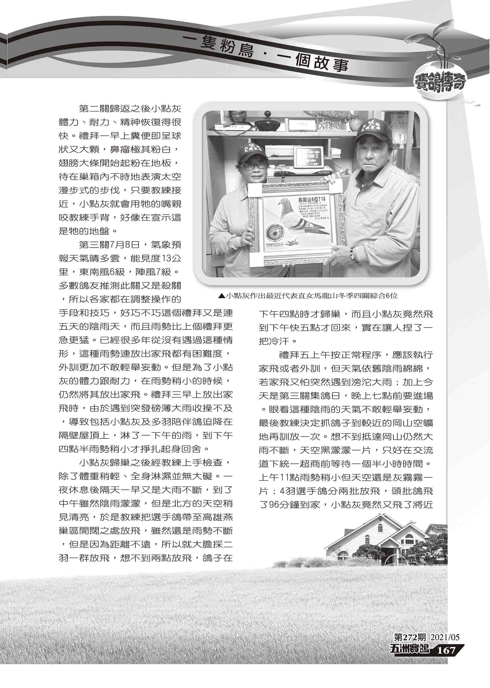 小點灰組稿-8.jpg