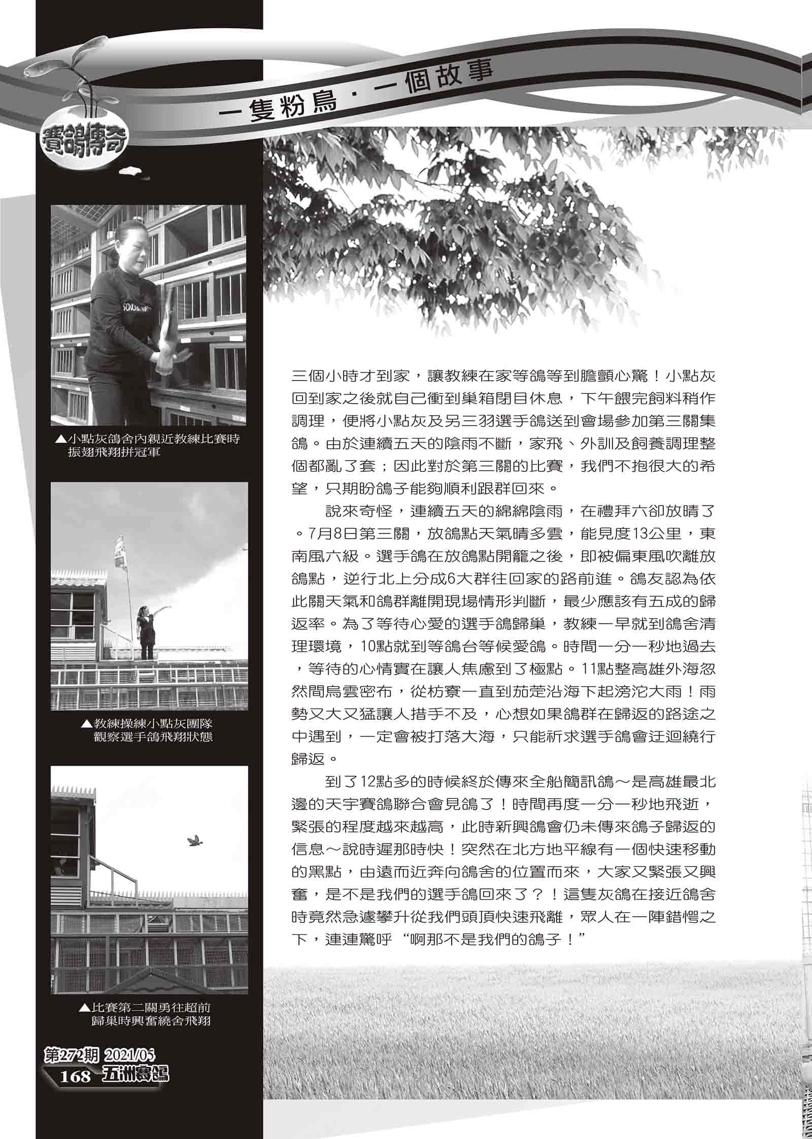 小點灰組稿-9.jpg