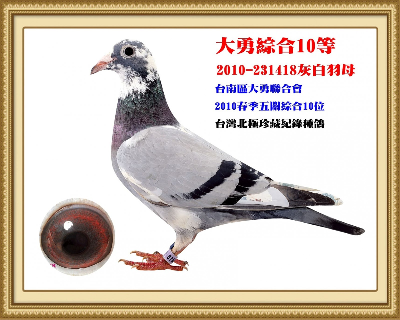 2010-231418.jpg