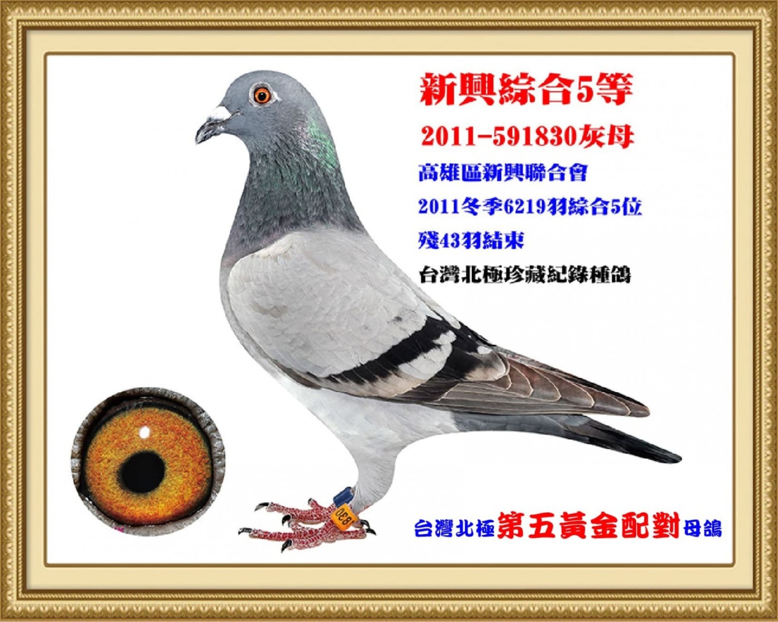 2011-591830.jpg