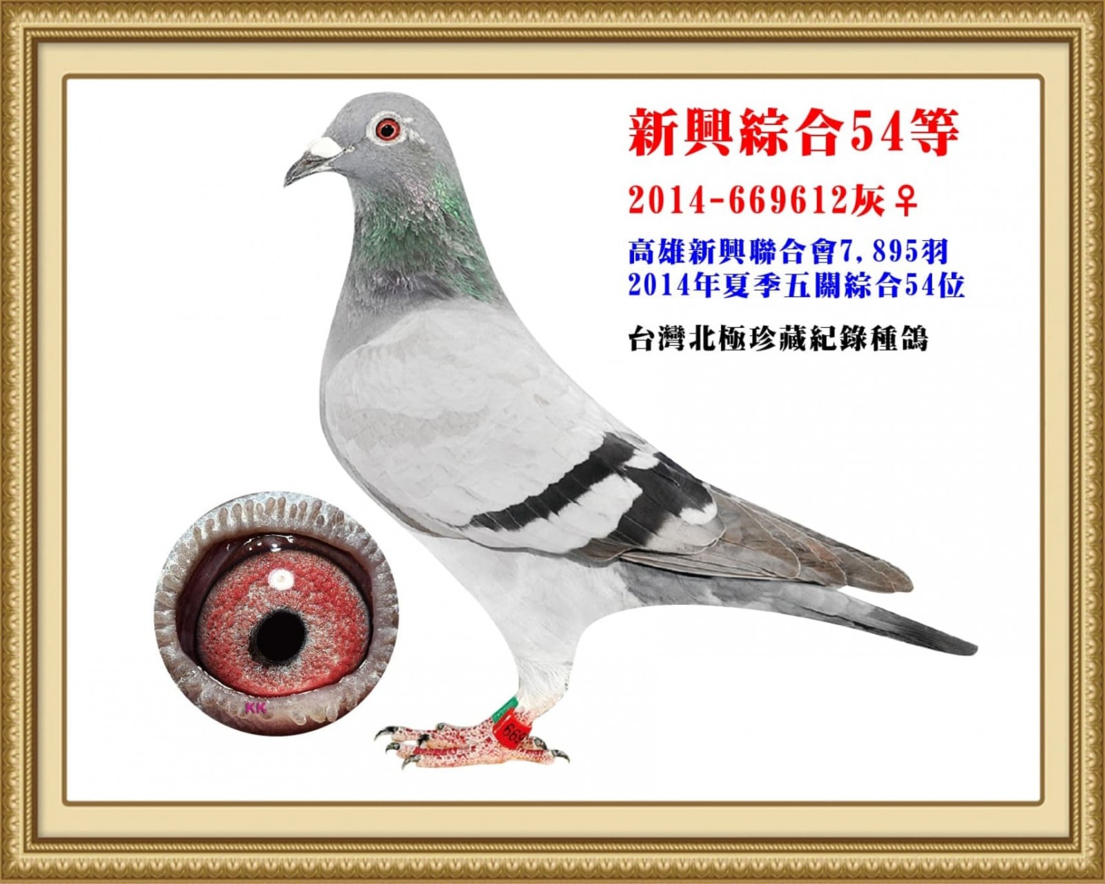 2014-669612.jpg