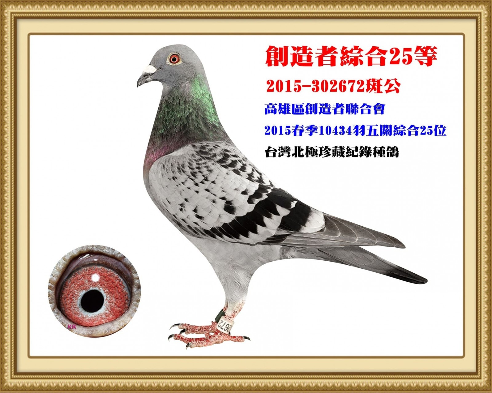 2015-302672.jpg
