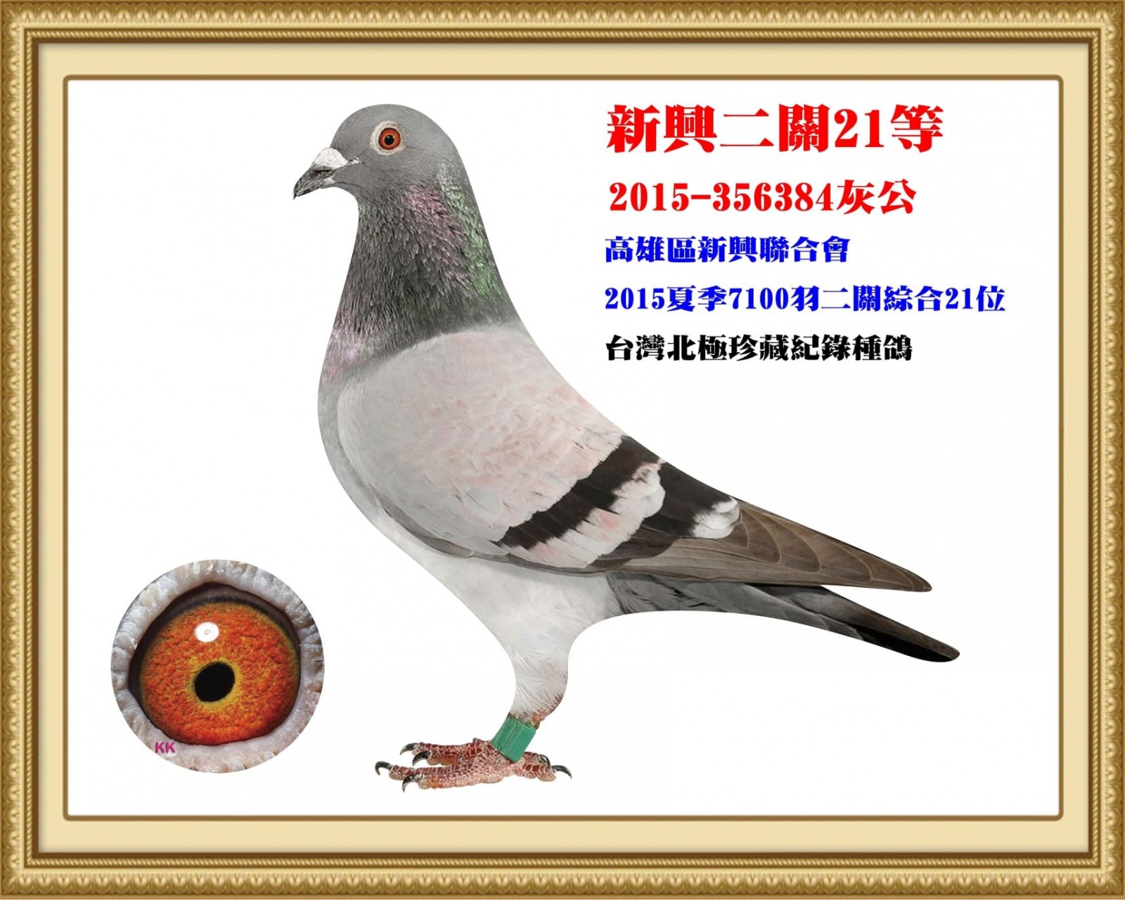 2015-356384.jpg