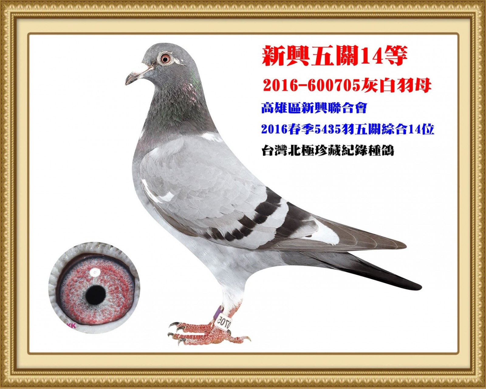 2016-600705.jpg