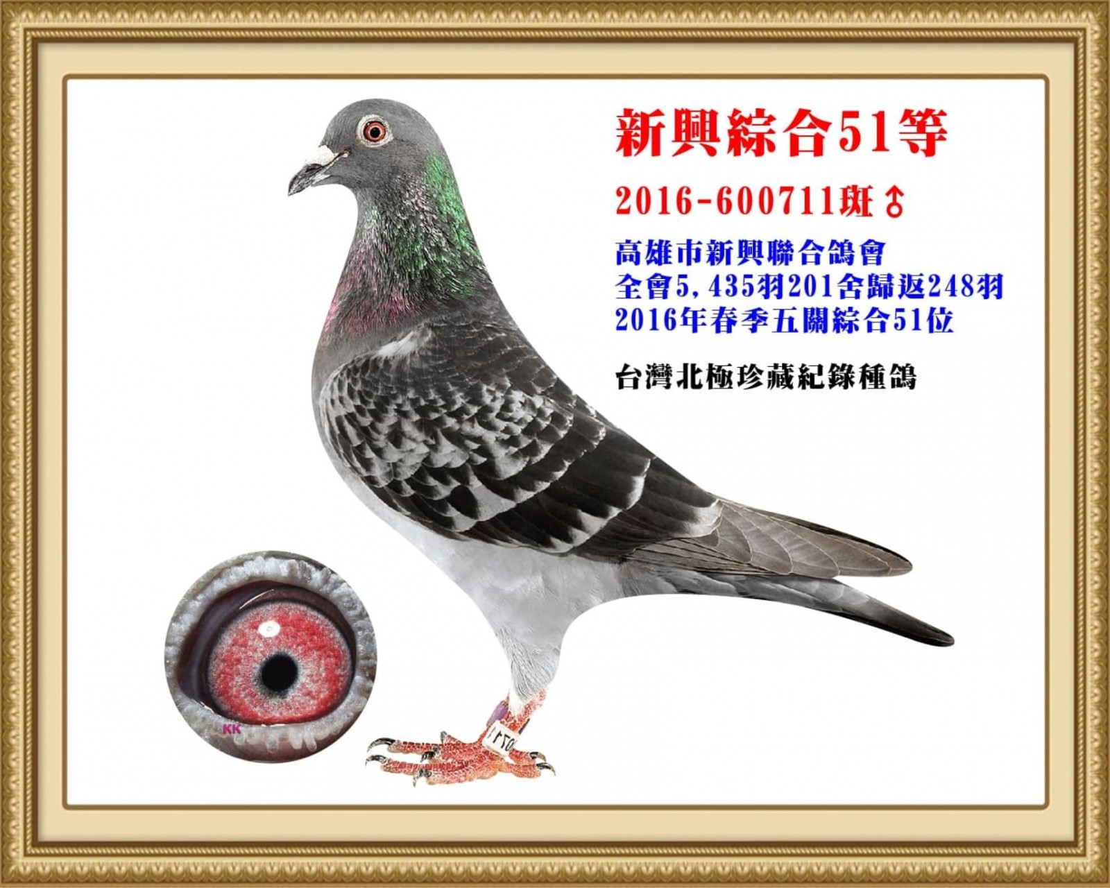 2016-600711.jpg