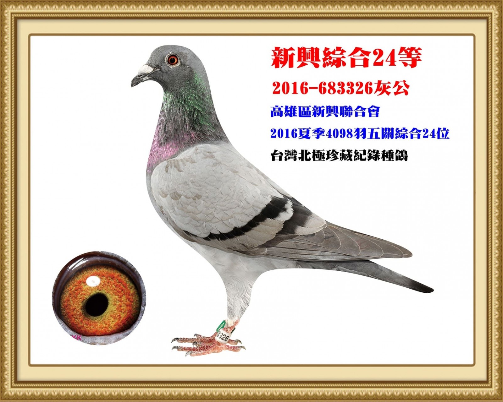 2016-683326.jpg