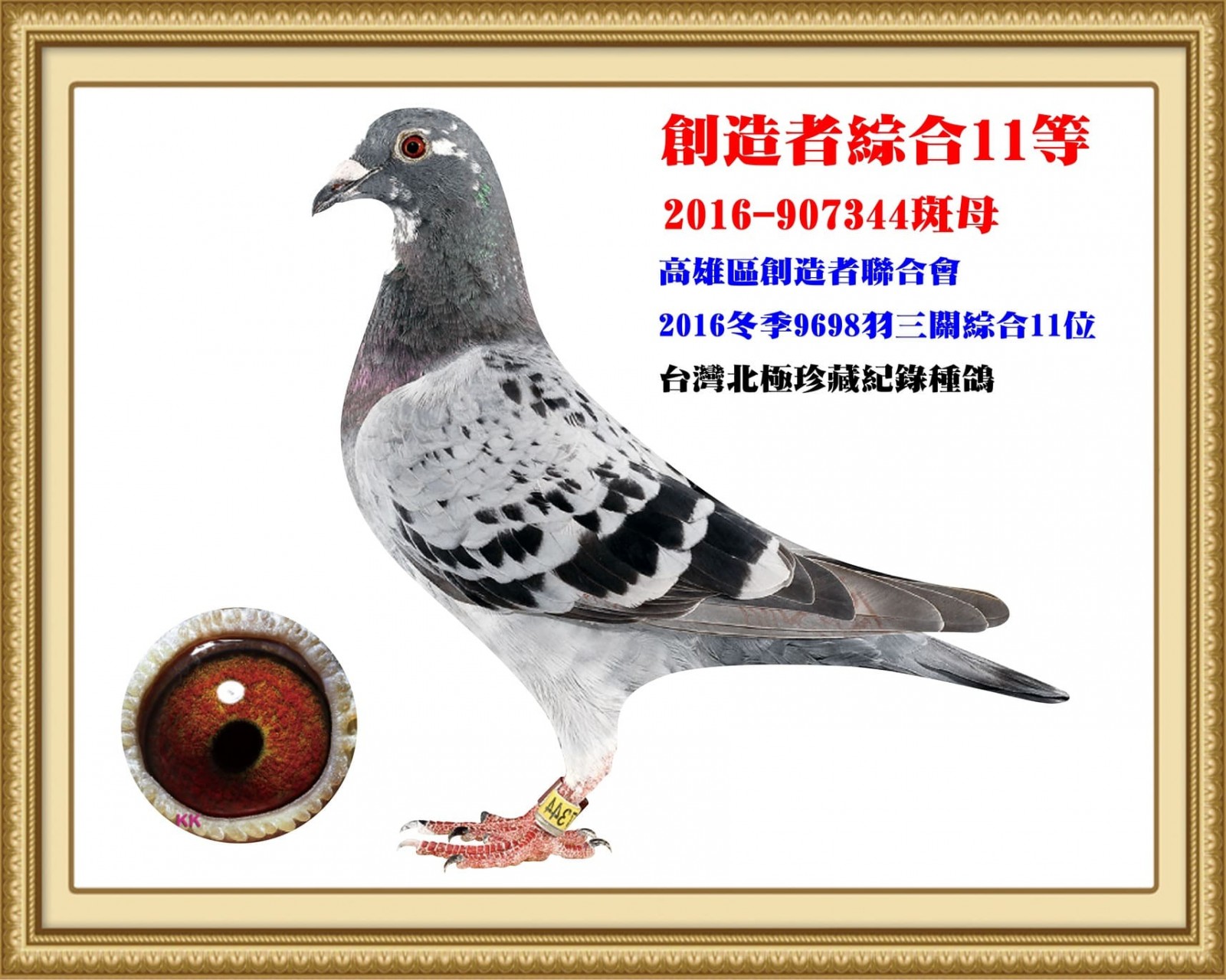2016-907344.jpg