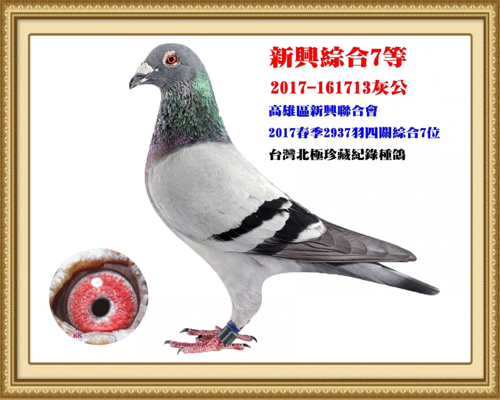 2017-161713.jpg