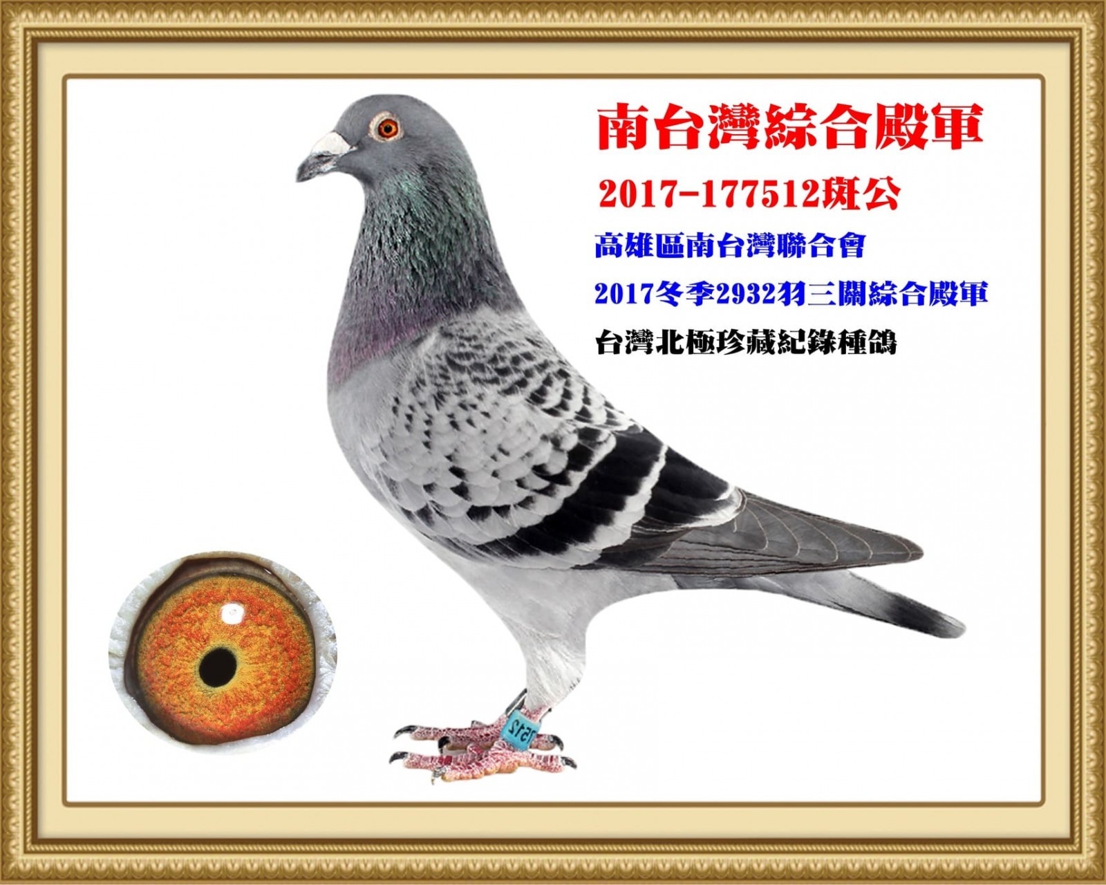 2017-177512.jpg