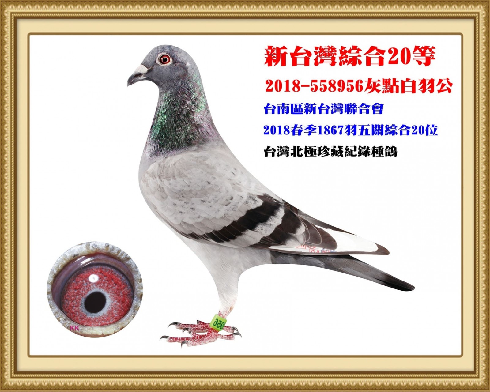 2018-558956.jpg
