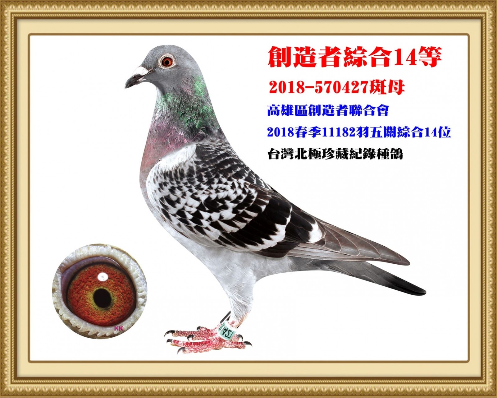2018-570427.jpg