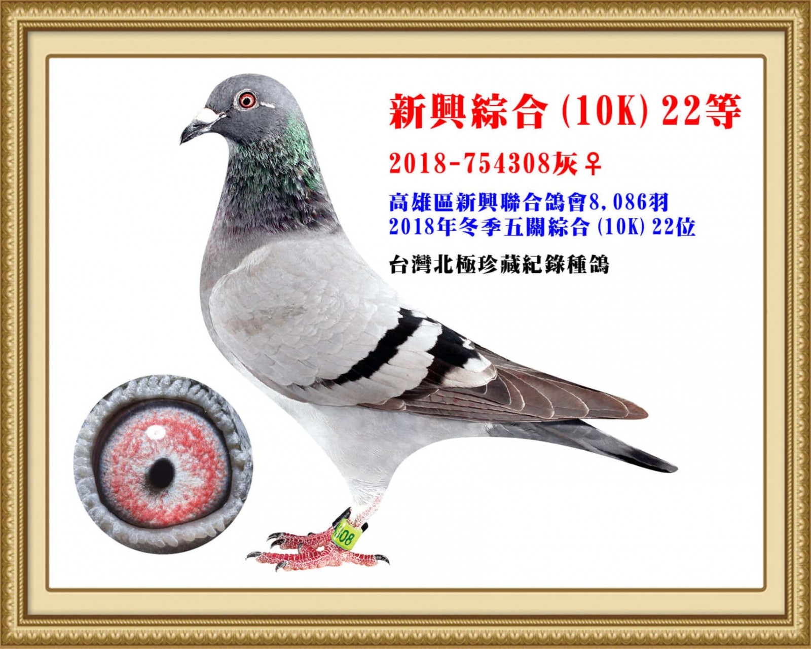 2018-754308.jpg
