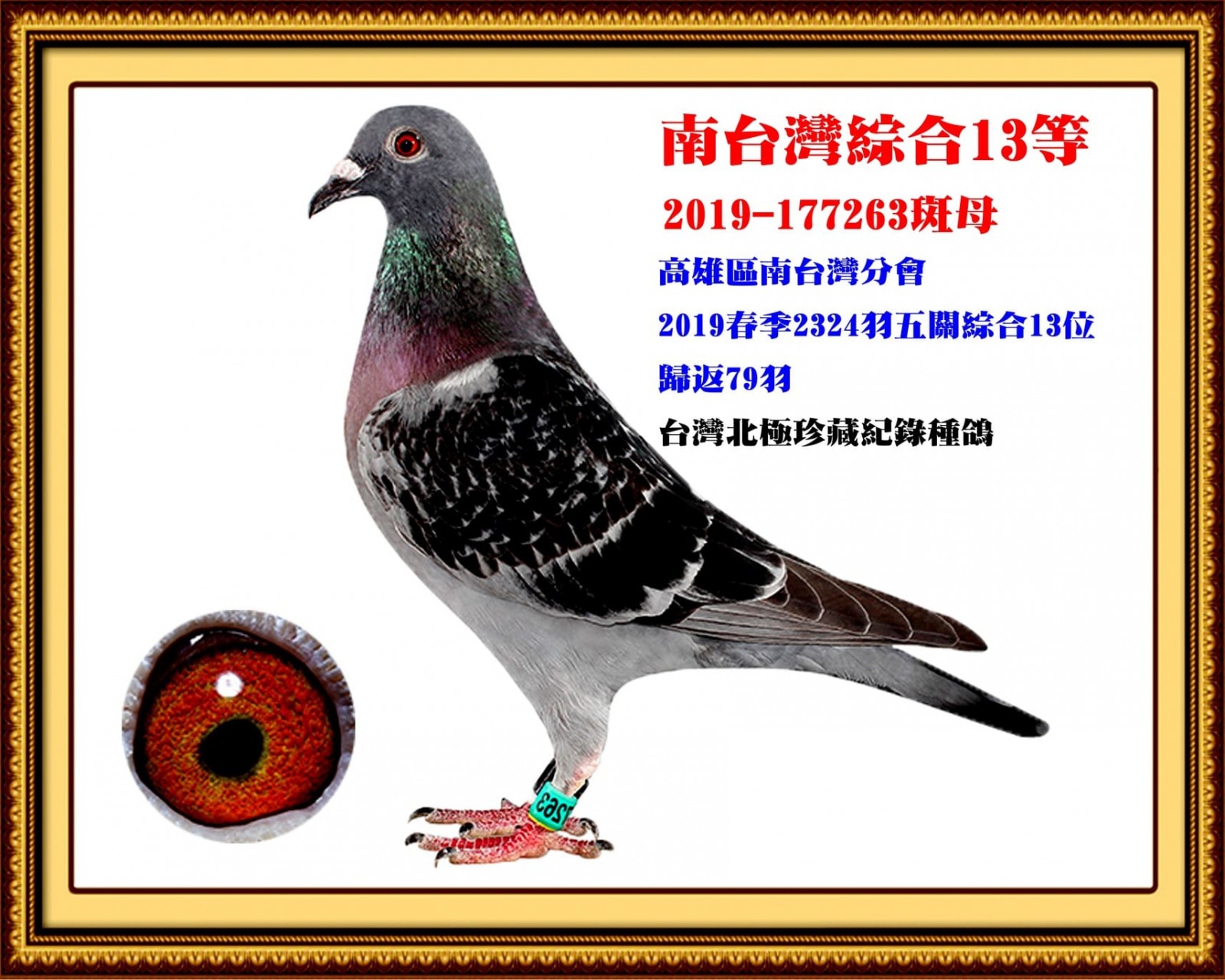 2019-177263.jpg