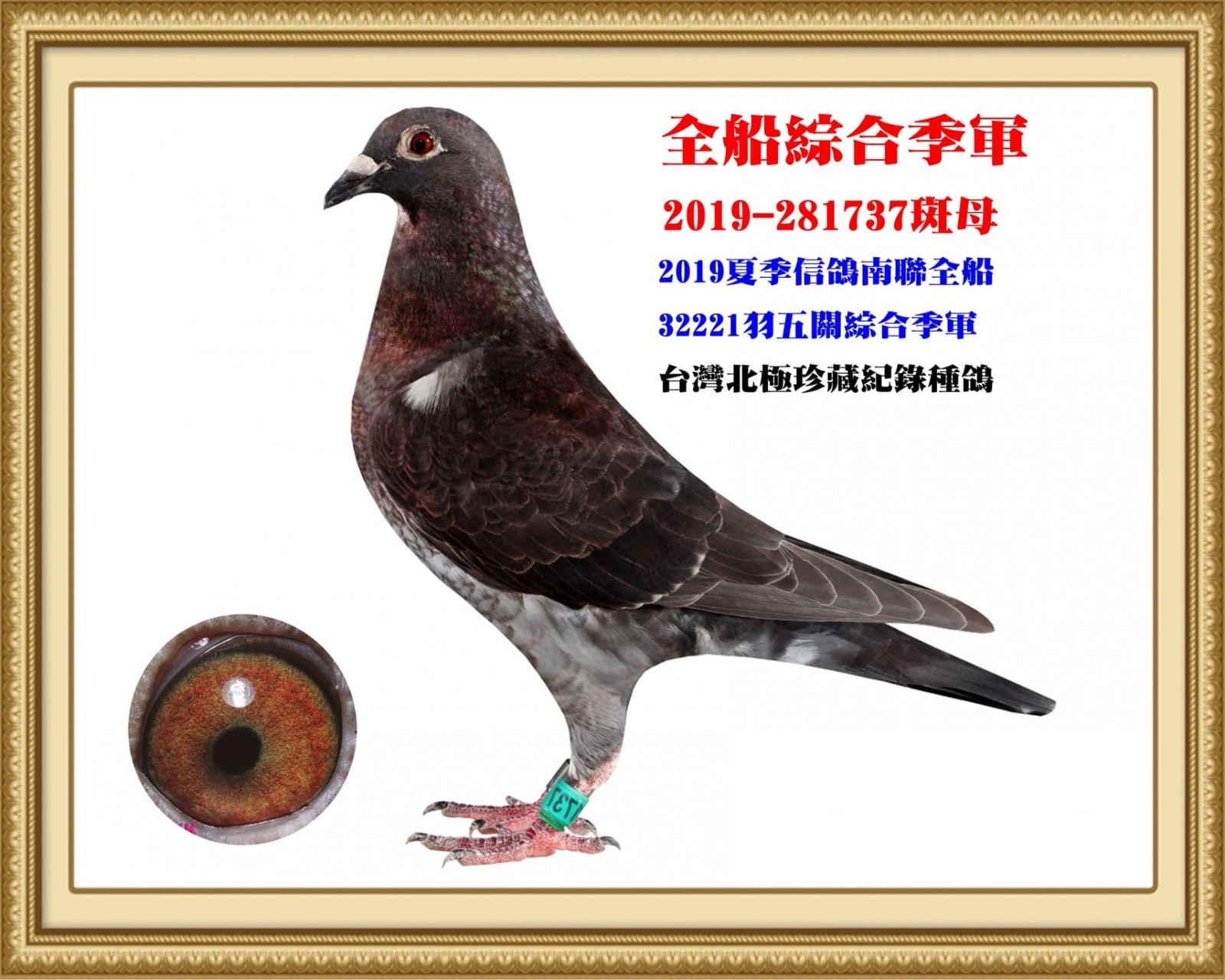 2019-281737.jpg