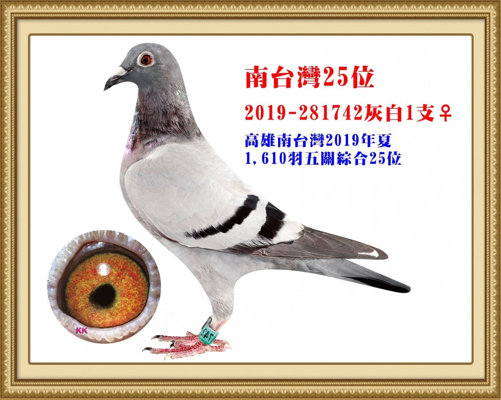 2019-281742.jpg