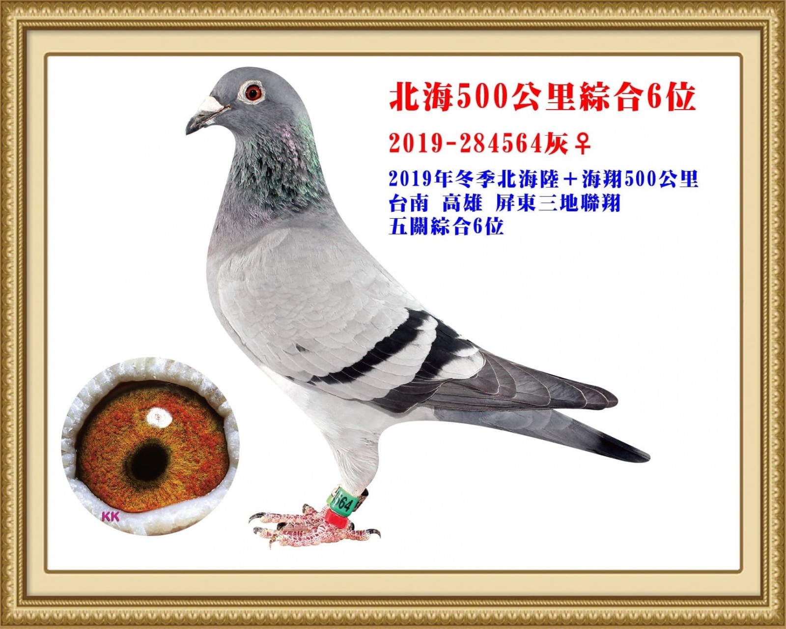 2019-284564.jpg