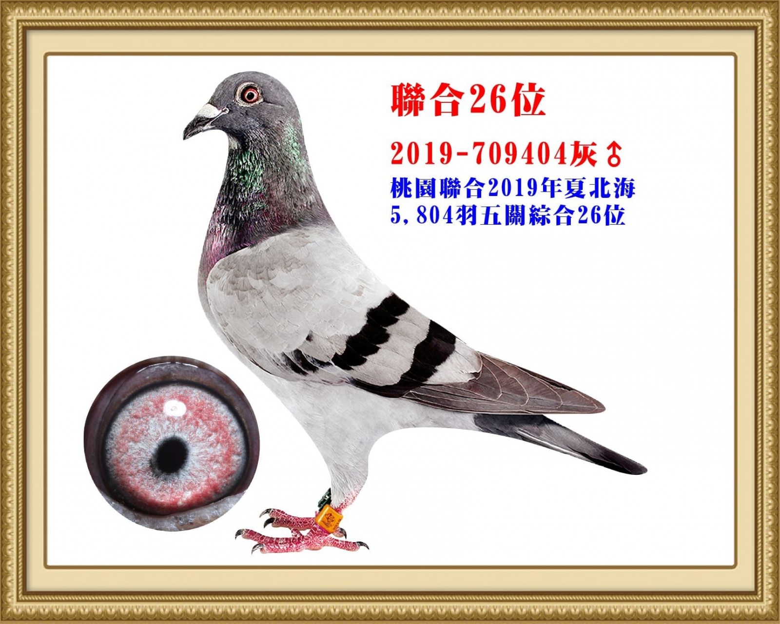 2019-709404.jpg