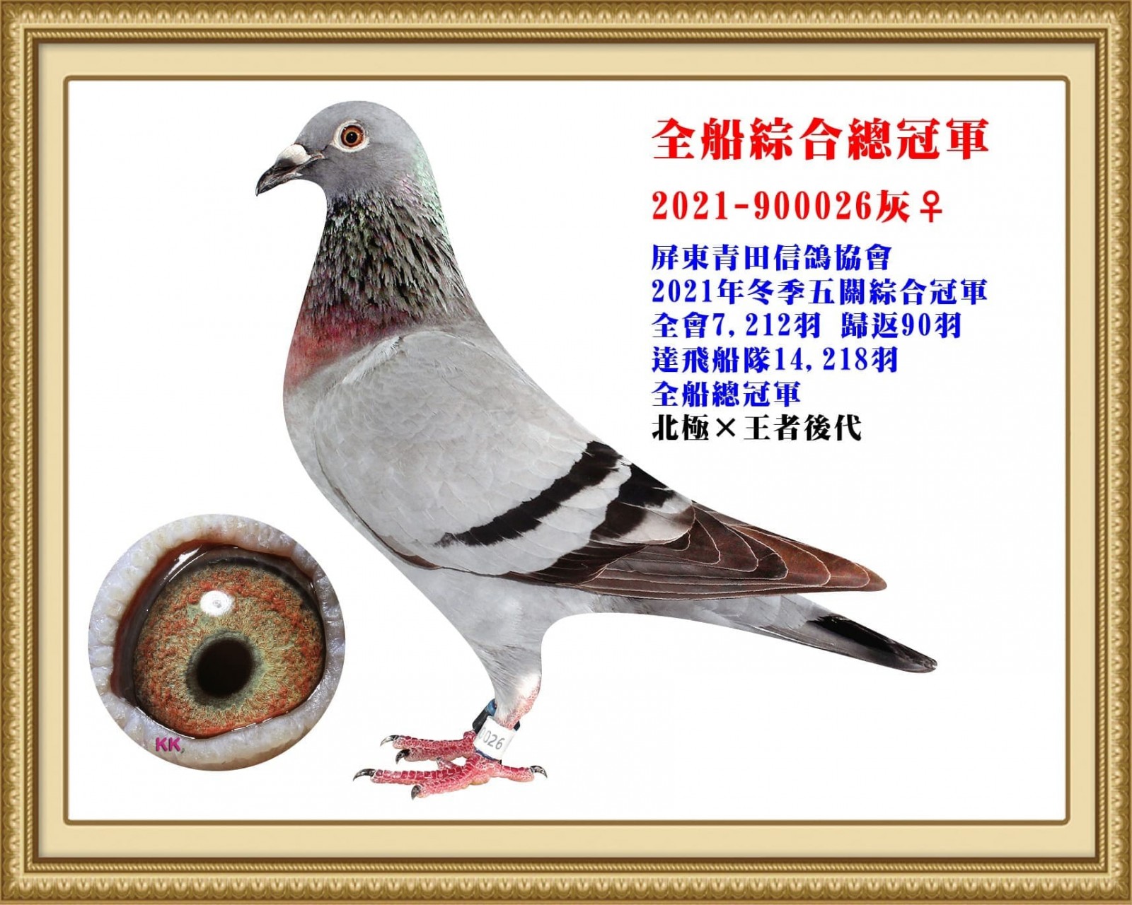 2021-900026.jpg