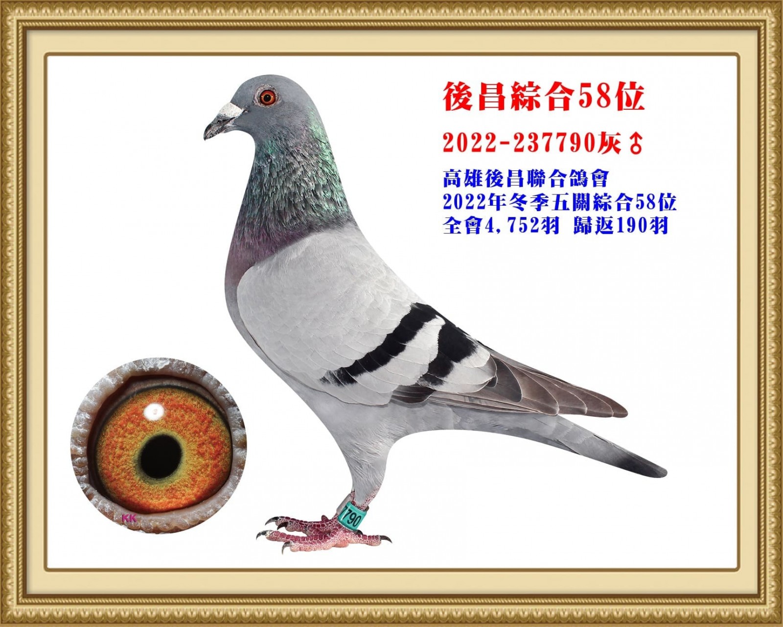2022-237790.jpg