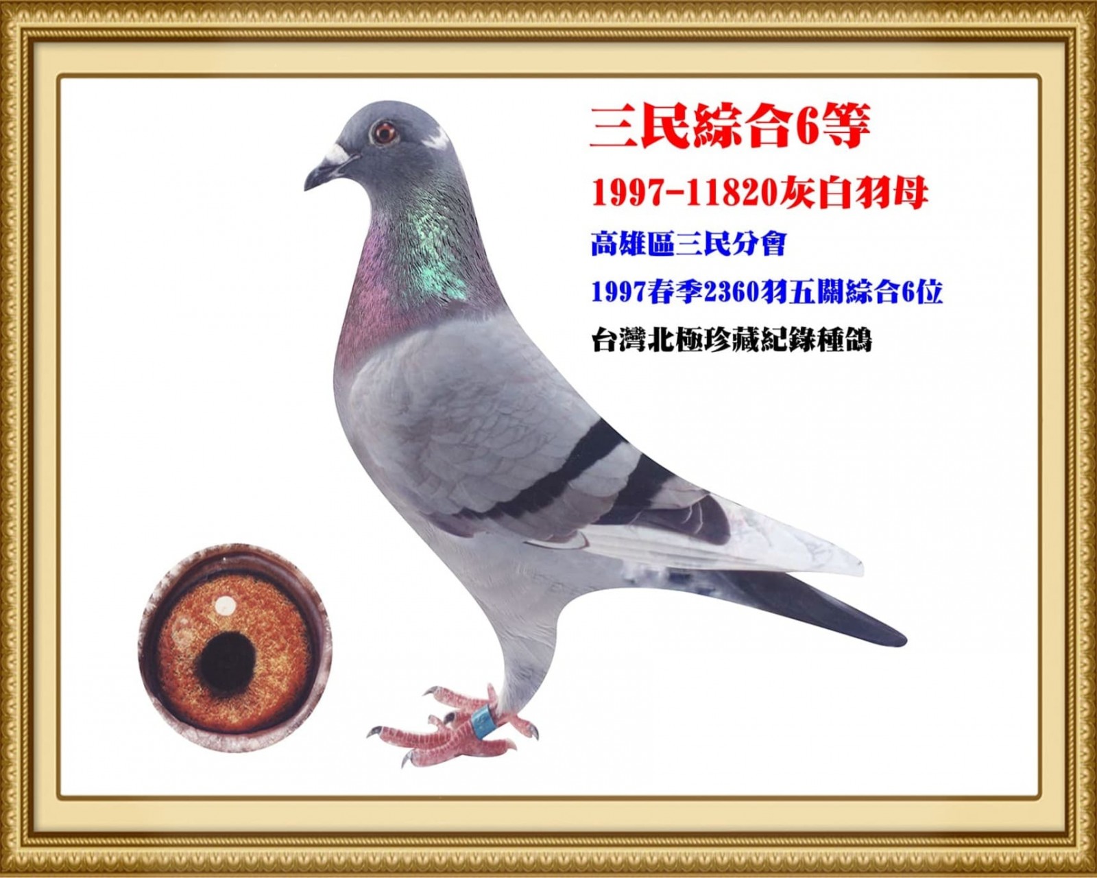 1997-11820.jpg