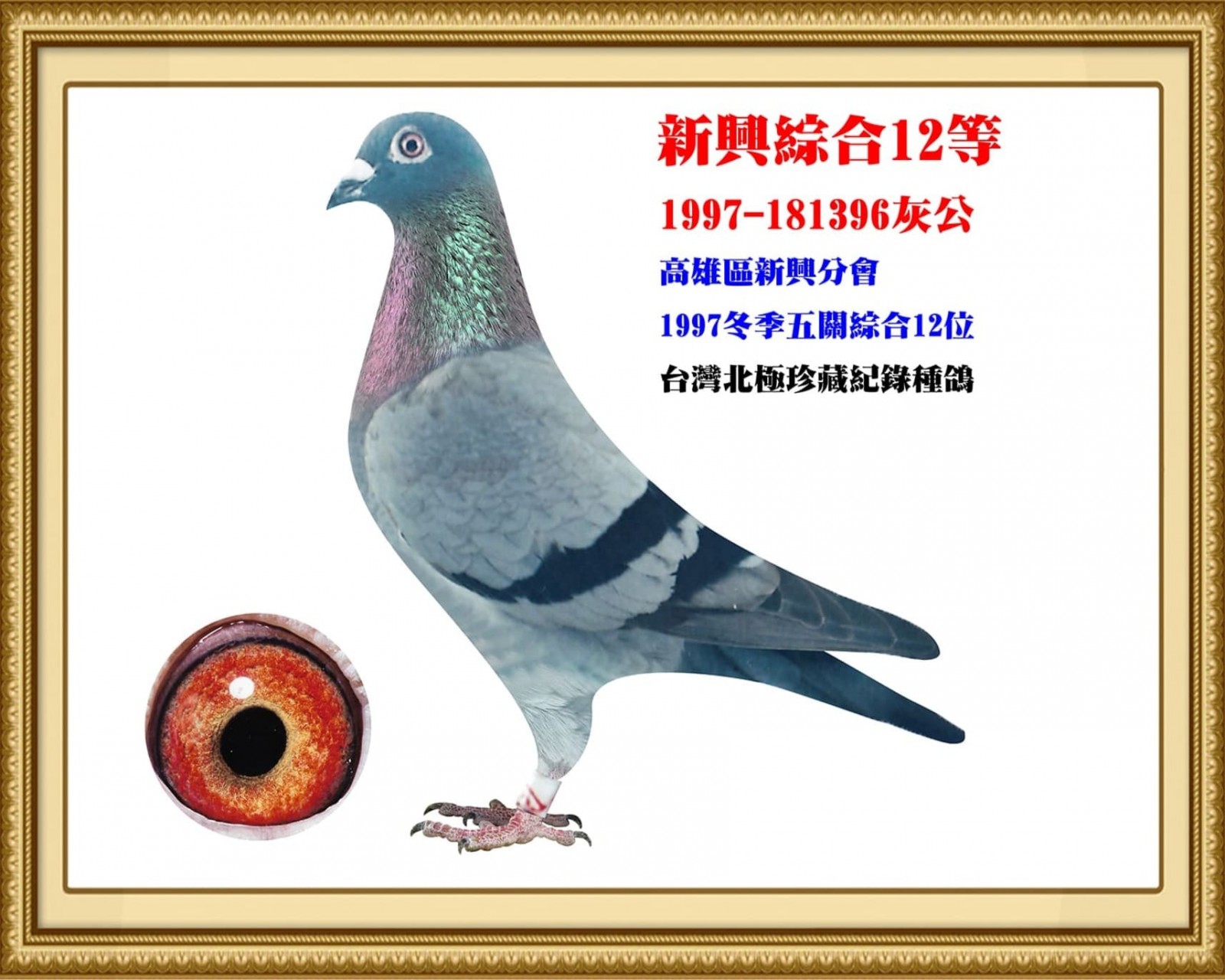 1997-181396.jpg