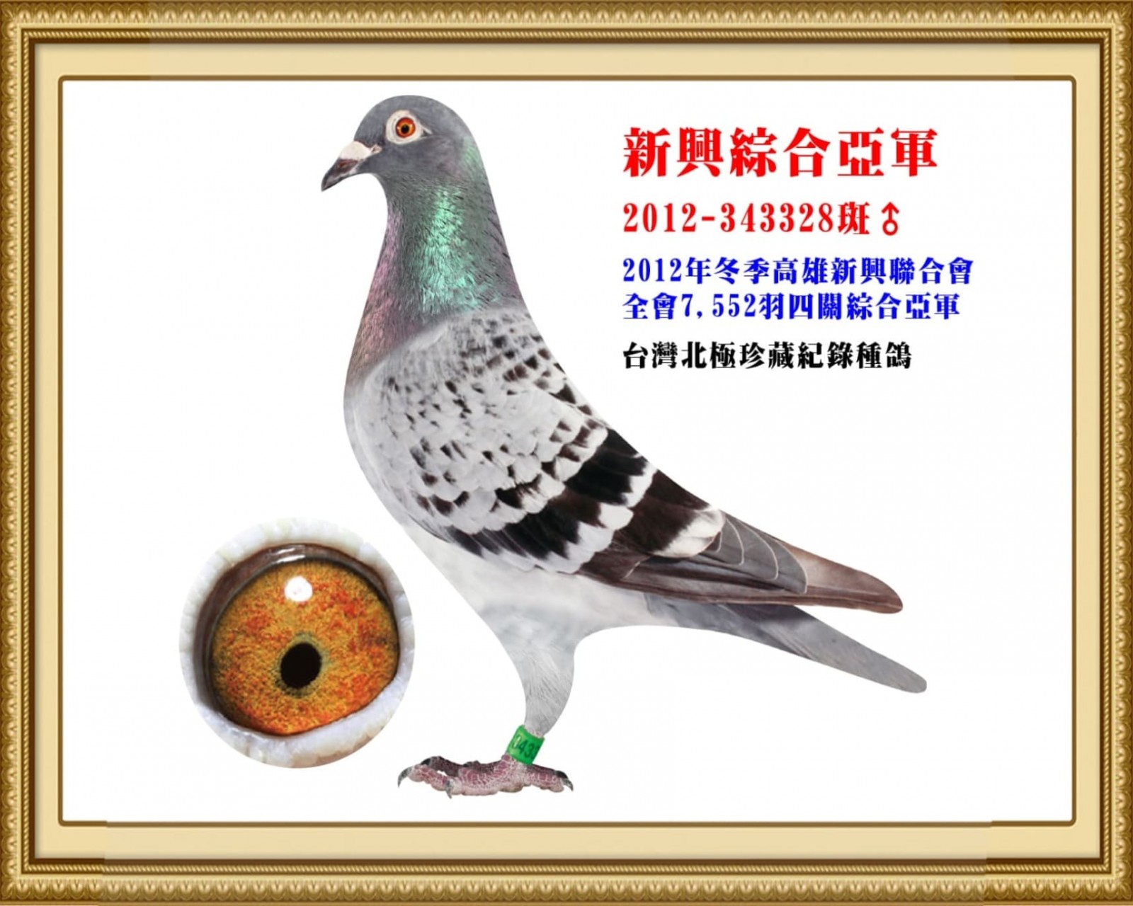 2012-343328.jpg