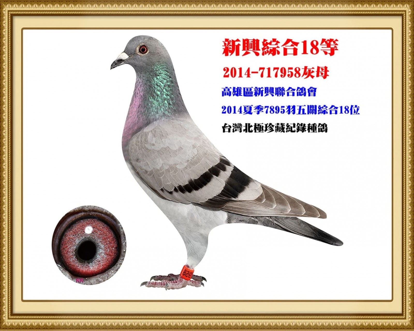2014-717958.jpg