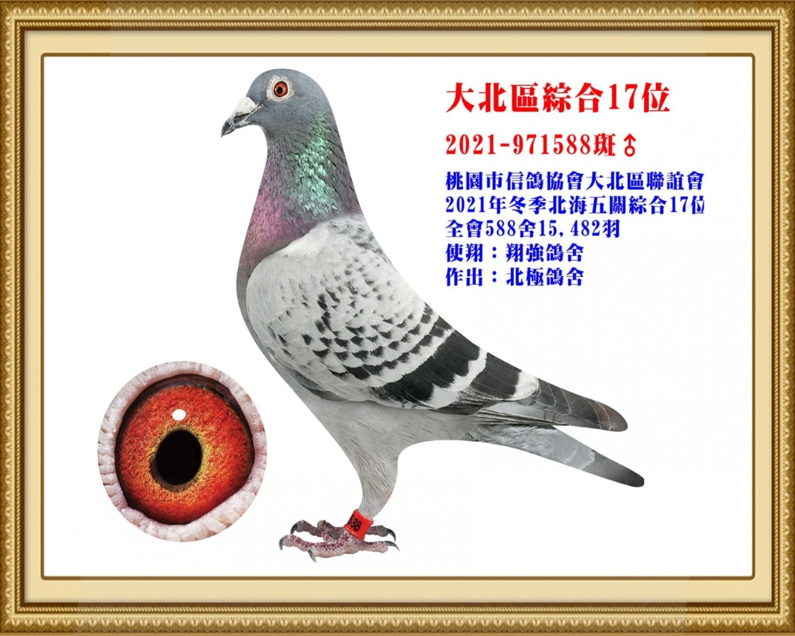 2021-971588.jpg
