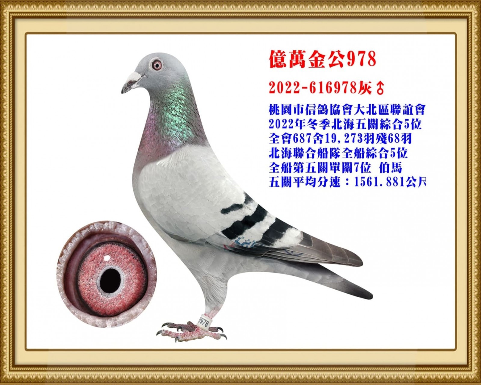 2022-616978.jpg