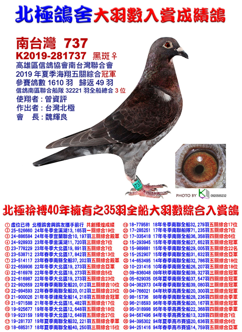 全船32,221羽綜合3位 2019-281737 黑斑母
