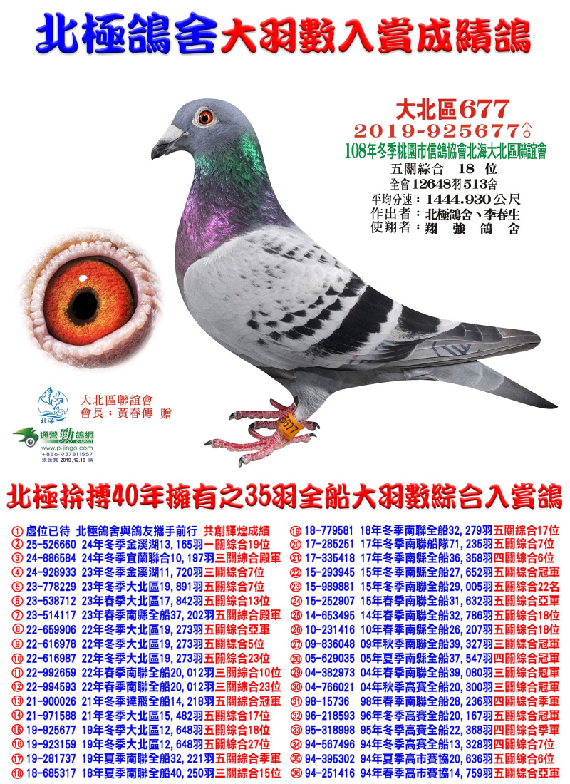 全會12,648羽五關綜合18位 2019-925677斑公