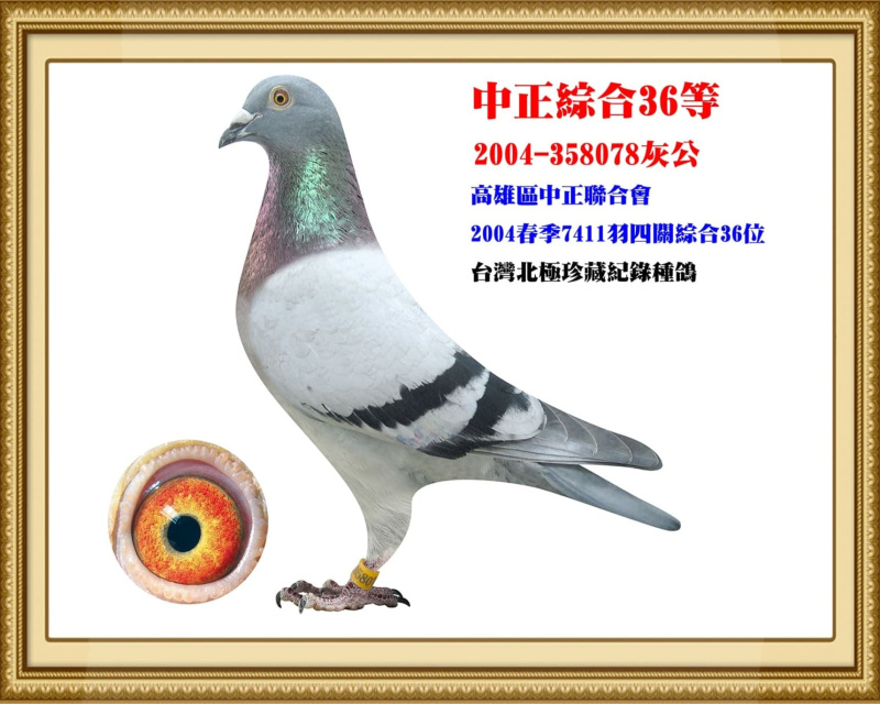 中正綜合36等 2004-358078灰公