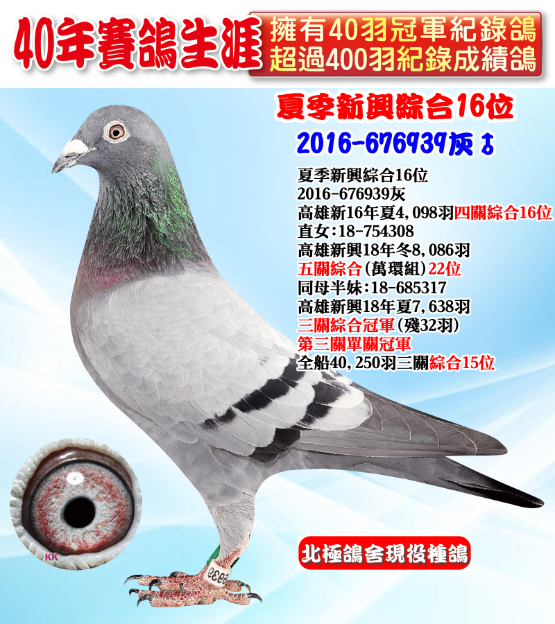 夏季新興綜合16位 2016-676939灰♂