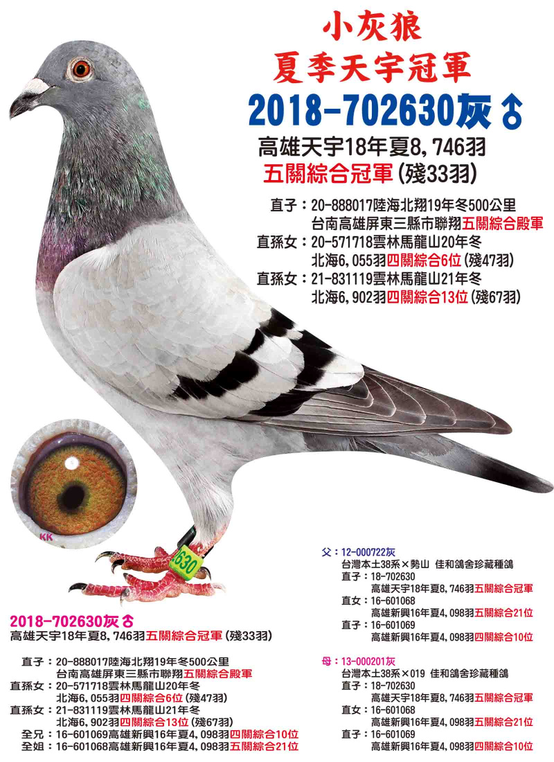 2018-702630灰公 夏季天宇冠軍
