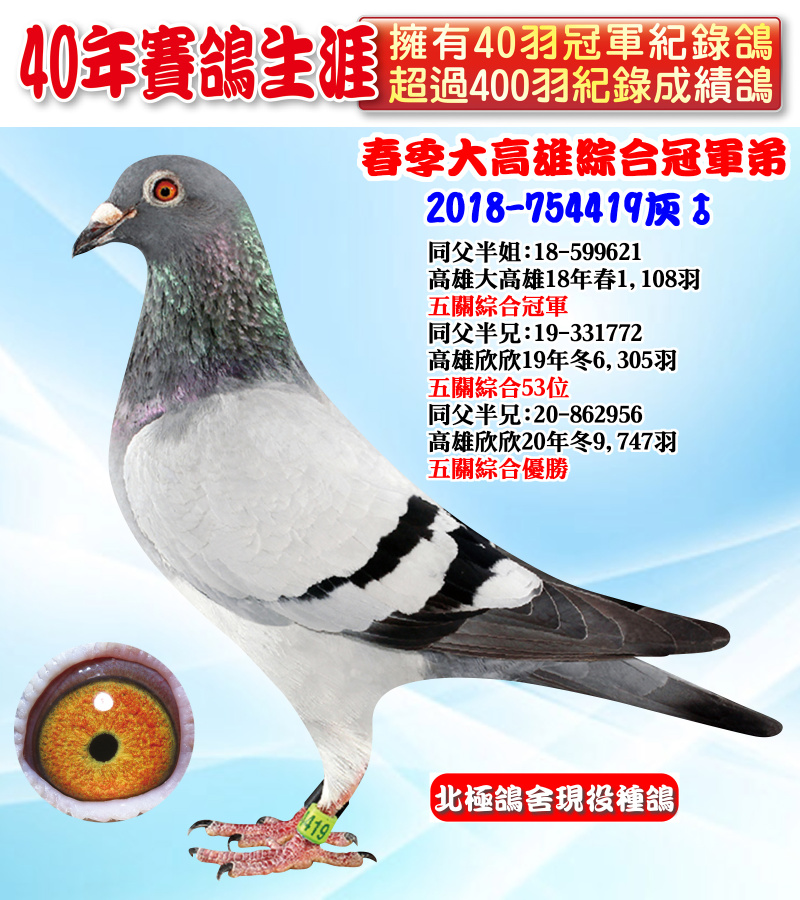 春季大高雄綜合冠軍弟 2018-754419灰♂