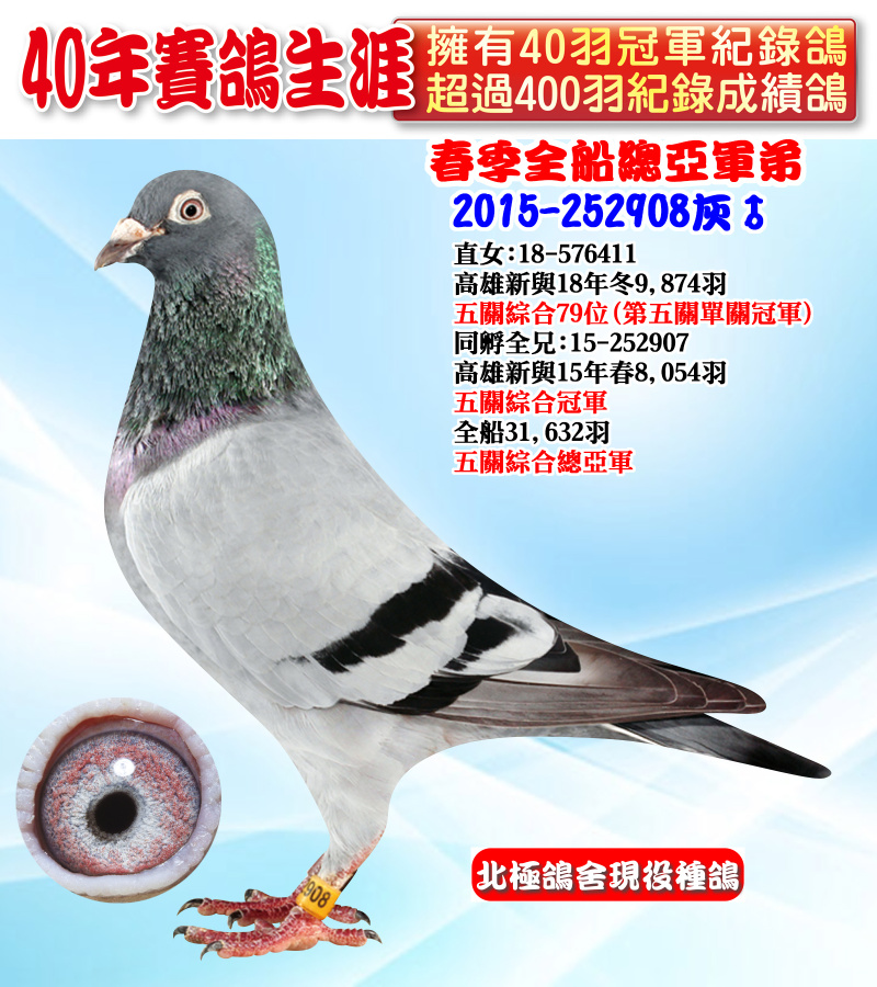 春季全船總亞軍弟 2015-252908灰♂