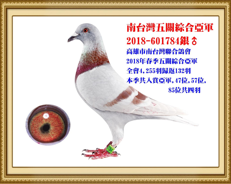 南台灣五關綜合亞軍 2018-601784銀公