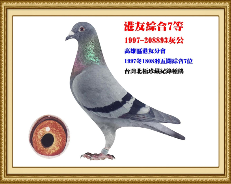 港友綜合7等 1997-208893灰公
