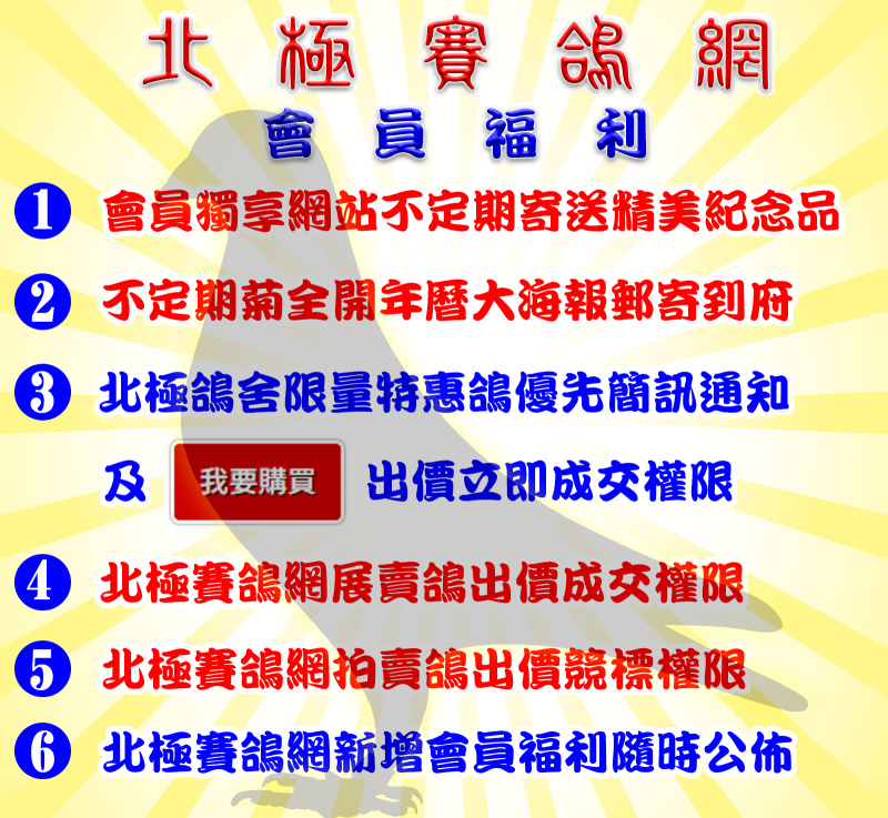 北極賽鴿網註冊會員福利