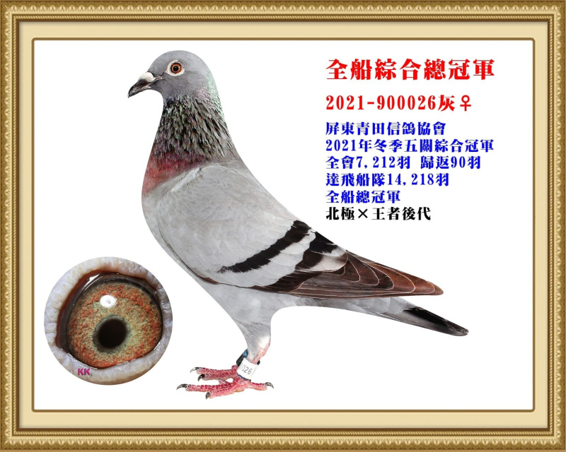 全船綜合總冠軍 2021-900026灰母