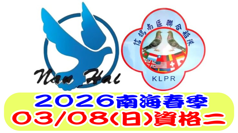 03/08(日)資格二 2026年春季比賽